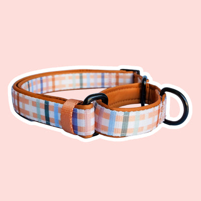 martingale dog collars, sighthound dog collars