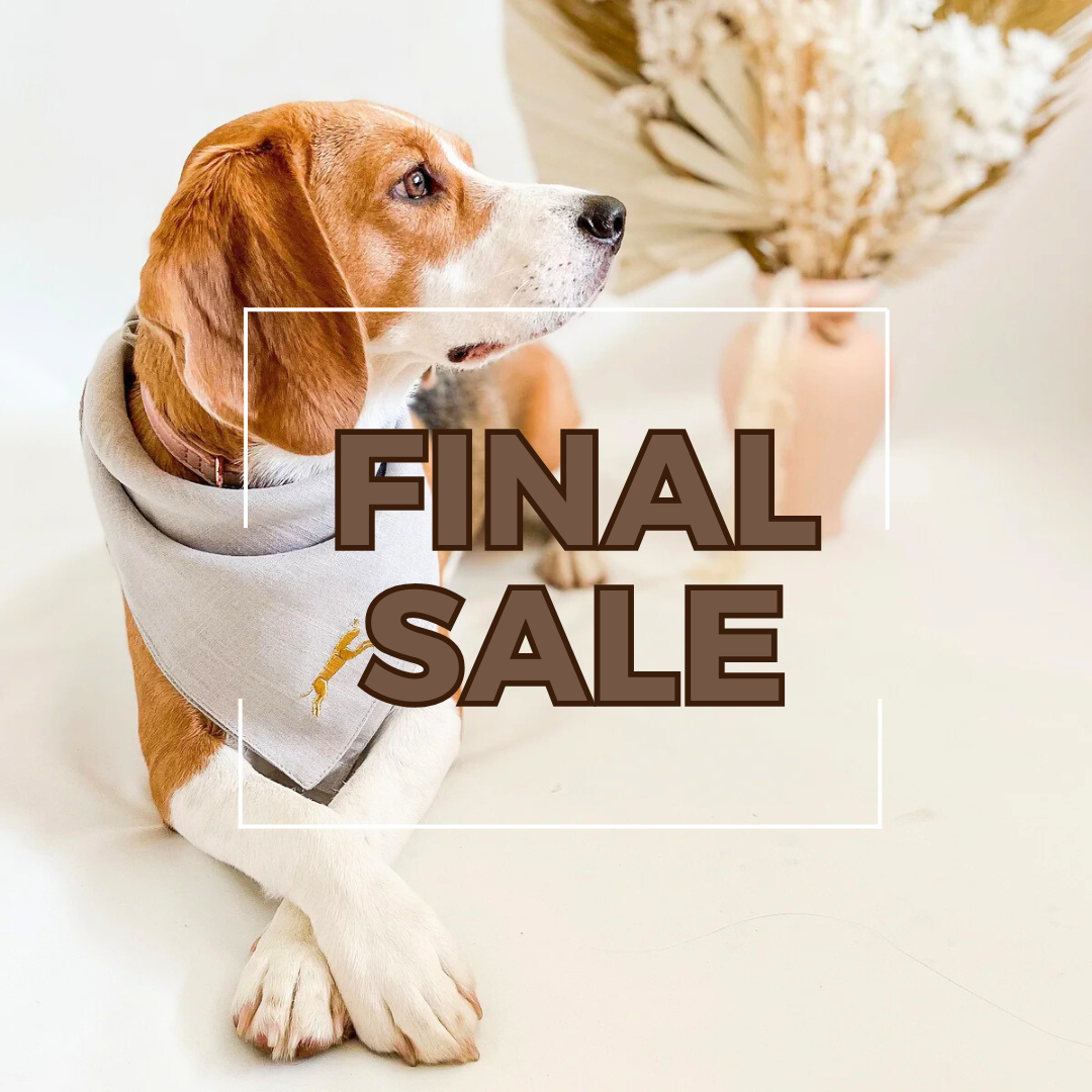A beagle dog wearing a stylish light grey bandana with a small embroidered golden dog silhouette sits on a clean white floor. The dog gazes to the side with a calm expression. In the background, there is a blurred arrangement of dried flowers in a neutral-toned vase. Overlaying the image is bold, dark brown text reading 'FINAL SALE' in uppercase letters, enclosed within a thin white square frame.