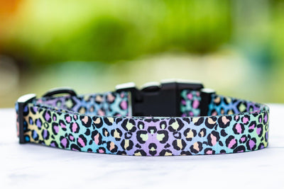 Ombre Leopard Bundle | Save up to 20%-Fabric Harness-Dizzy Dog Collars