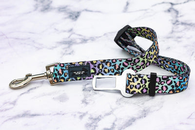 Ombre Leopard Bundle | Save up to 20%-Fabric Harness-Dizzy Dog Collars
