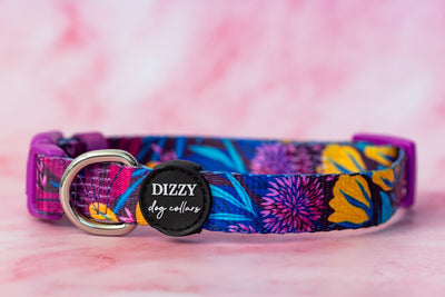 Sapphire Showers Bundle | Save up to 20%-Fabric Harness-Dizzy Dog Collars