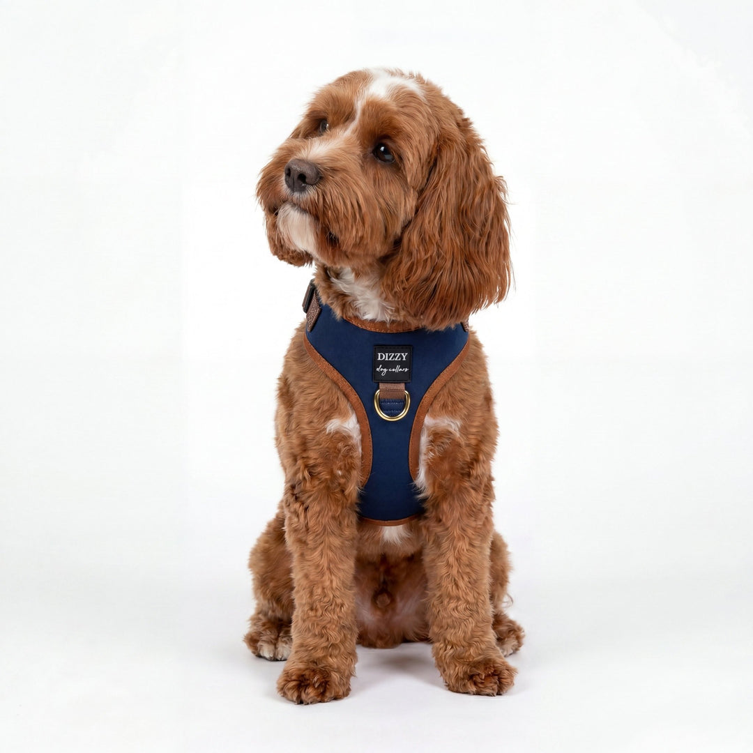 How to Choose the Right Dog Harness for Your Dog