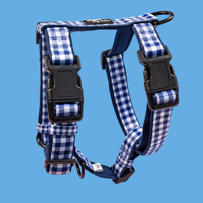 PADDED H-HARNESSES