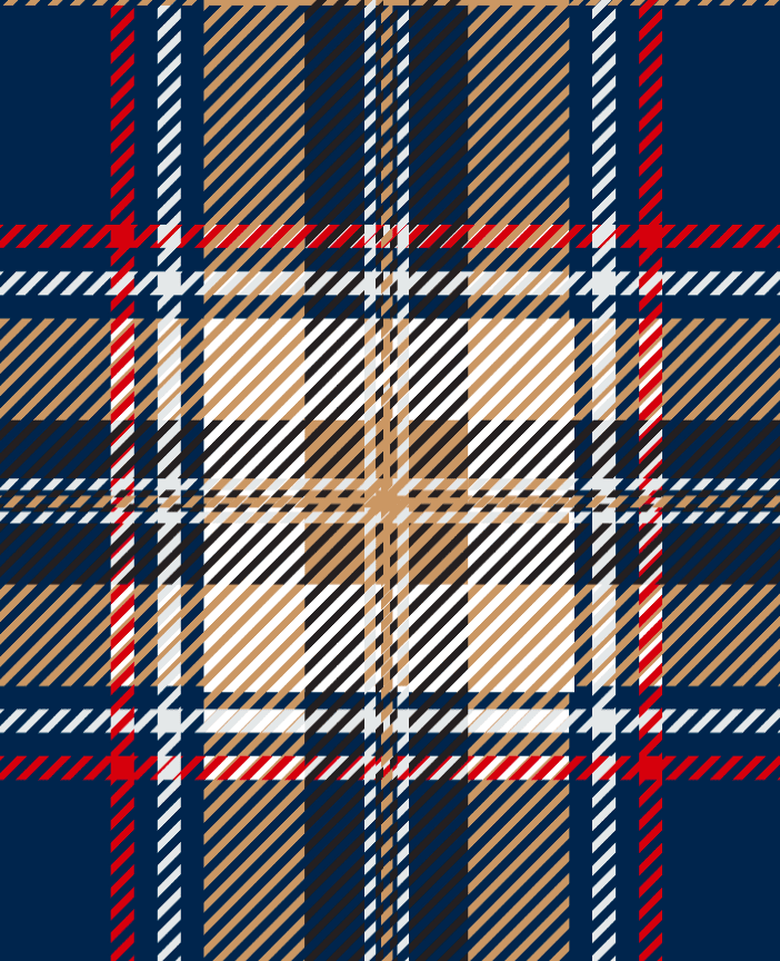 Highland Charm: Navy & Cream Plaid | A Stainless Steel Collection