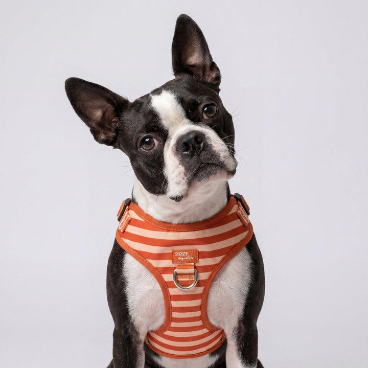 DOG HARNESS | Rusty Ridge | Neck Adjustable Dog Harness
