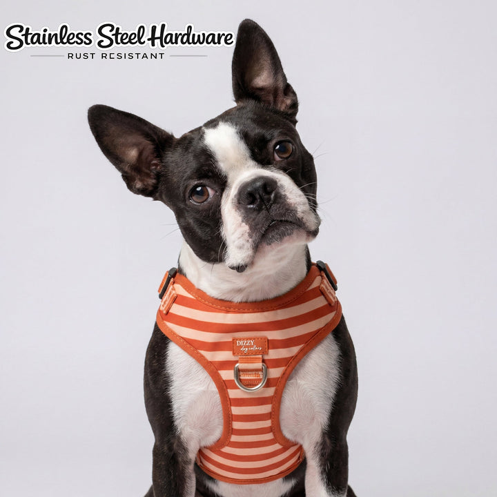 DOG HARNESS | Rusty Ridge | Neck Adjustable Dog Harness