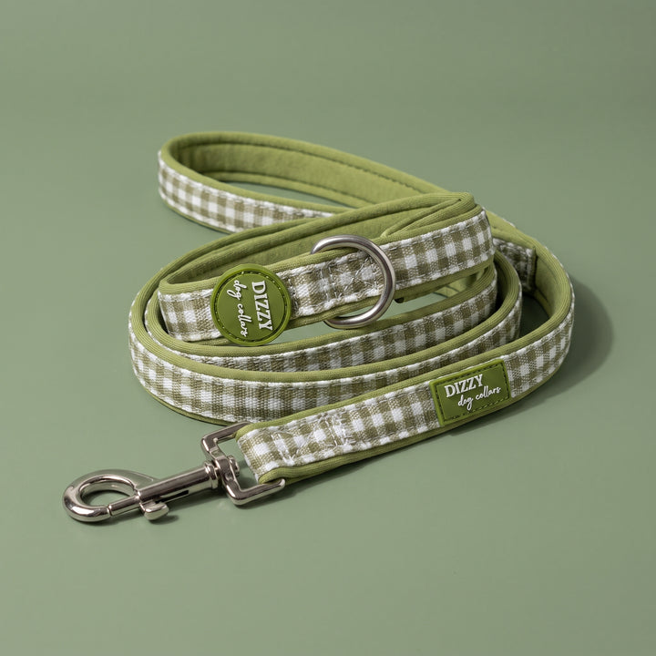 Sage Gingham Dog Leash | Gingham Dog Lead