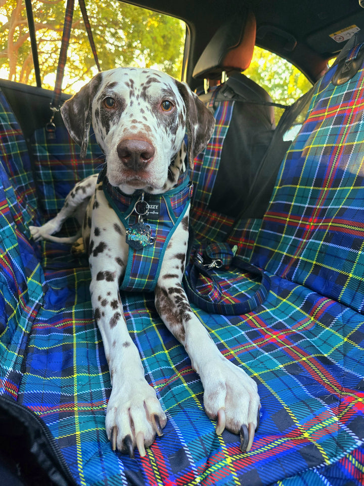 Car Seat Hammock: 2 in 1 Back Seat Cover | The Hamish: Scottish Tartan