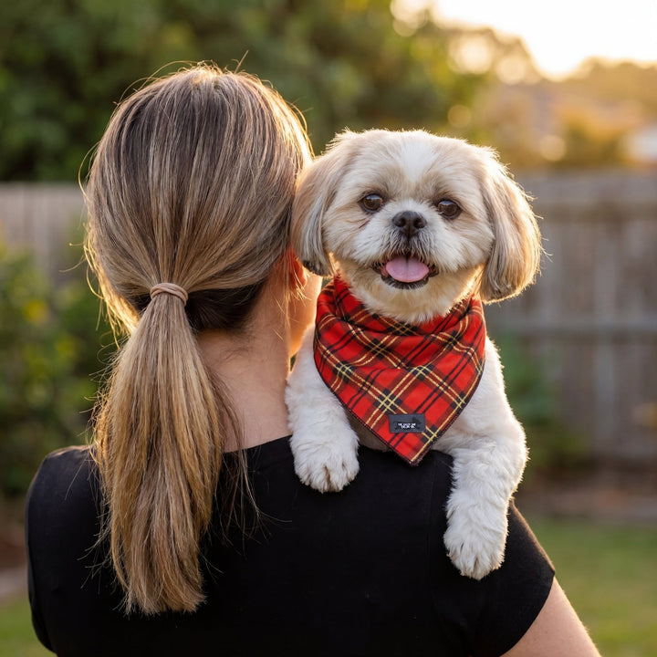 Red and Gold Plaid Bandana - Tie Up Dog Bandana