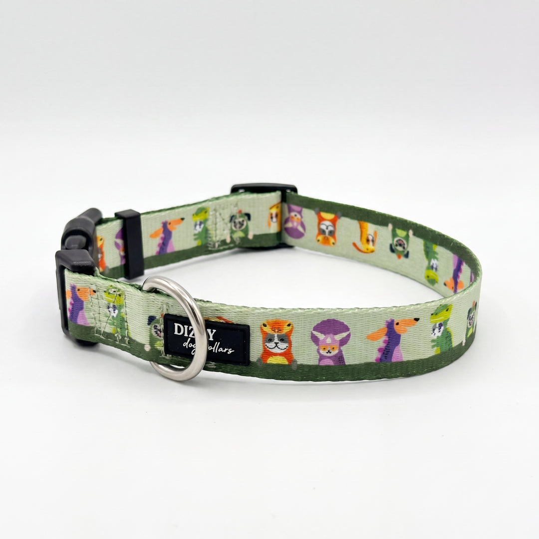 Mesozoic Mischief
-  Dog Collar | Value Range Dog Collar | Stainless Steel