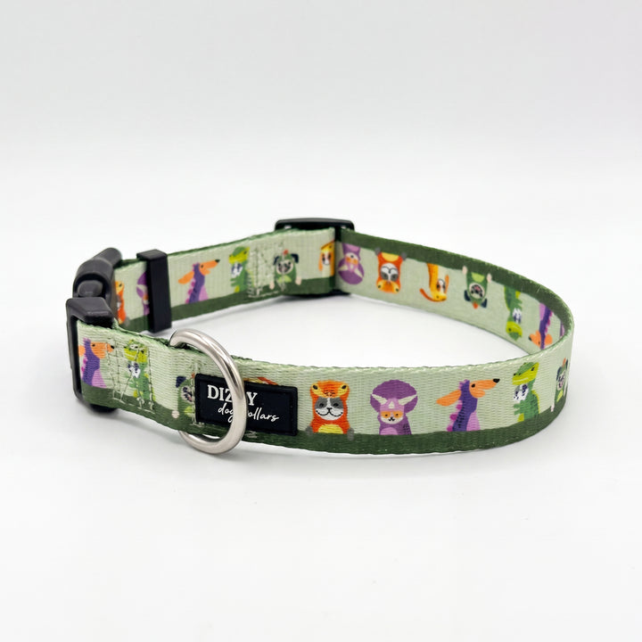 Mesozoic Mischief
-  Dog Collar | Value Range Dog Collar | Stainless Steel