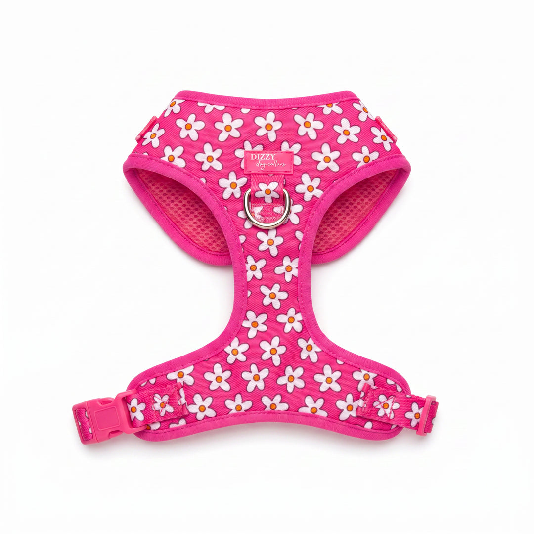 New Daisy Harness