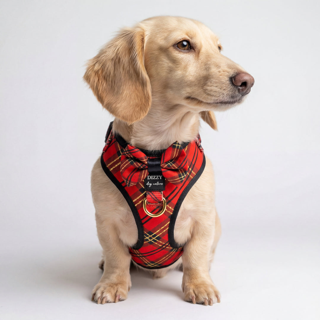 DOG HARNESS | Red and Gold Plaid | Adjustable Harness with Removable Bow Tie
