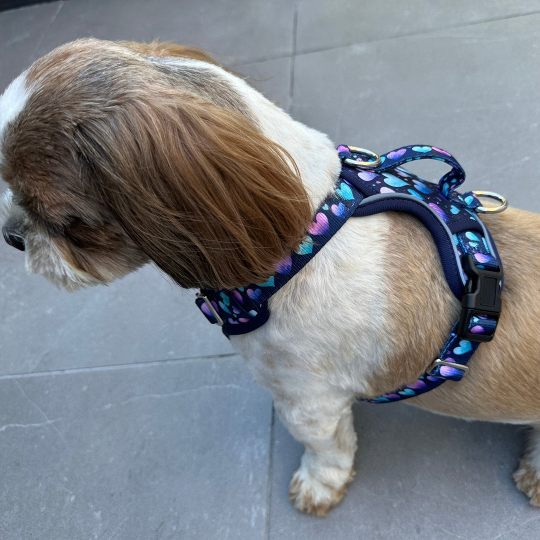 Hearts & Harmony No Pull Dog Harness with Handle | Step in & Reflective | STAINLESS STEEL | Hearts & Harmony