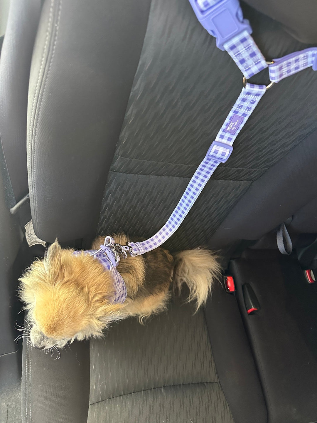 Car Headrest Restraint  | Lavender Gingham| Dog Car Restraint Tether
