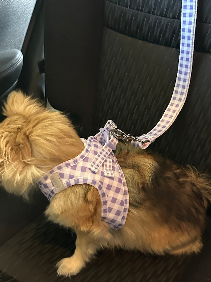 Car Headrest Restraint  | Lavender Gingham| Dog Car Restraint Tether