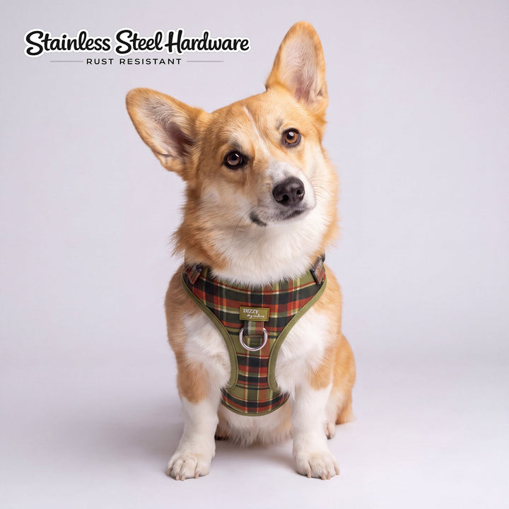 DOG HARNESS | An Olive Christmas  | Neck Adjustable Dog Harness