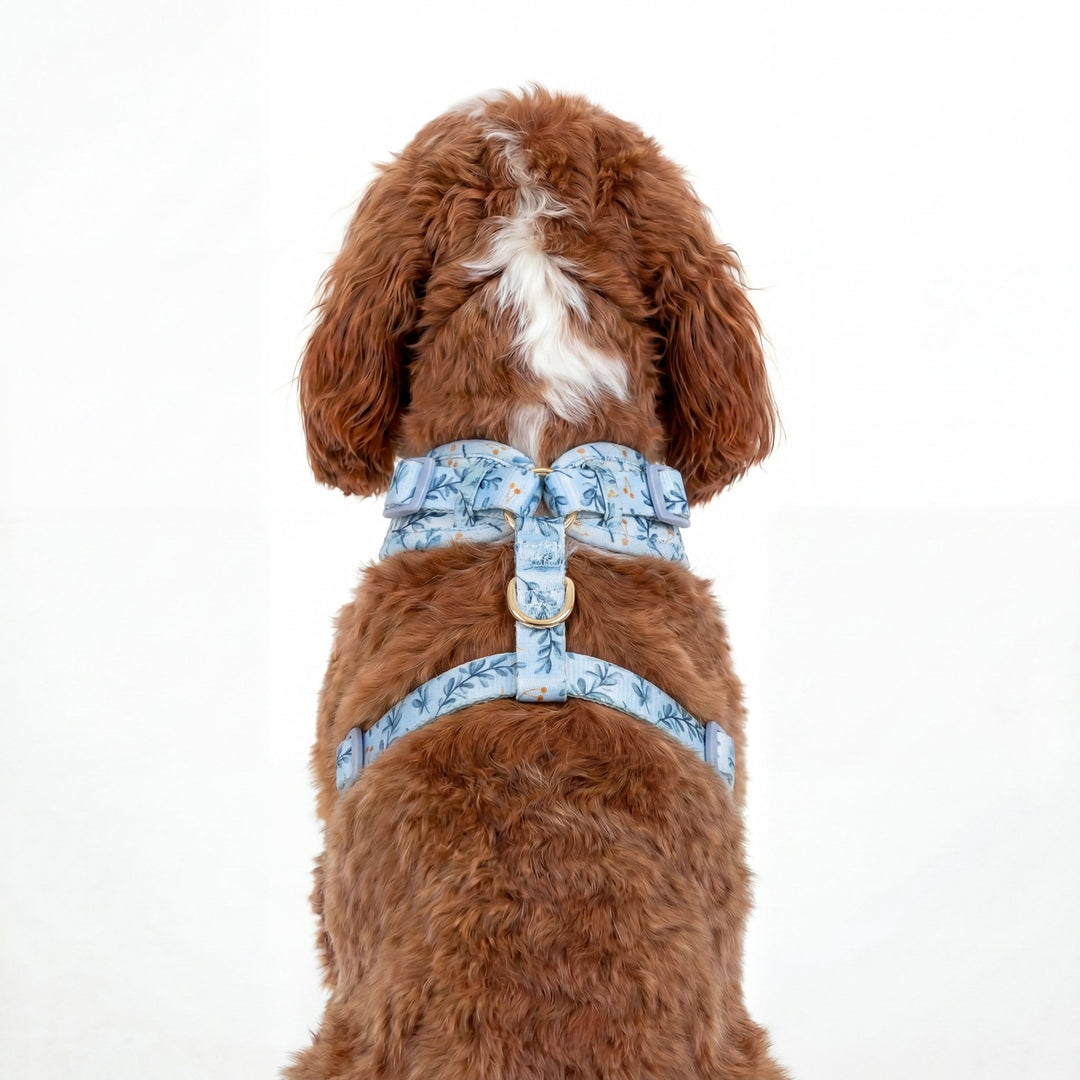 DOG HARNESS | Little Lou | Neck Adjustable Dog Harness