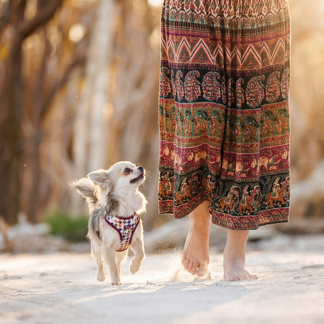 DOG HARNESS | Heritage Hound | Adjustable Dog Harness