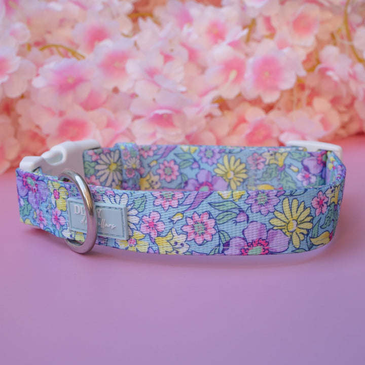 Floral Fable Dog Collar | Neoprene Dog Collar | Stainless Steel