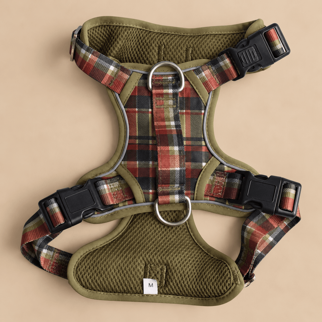 No Pull Dog Harness: An Olive Christmas
