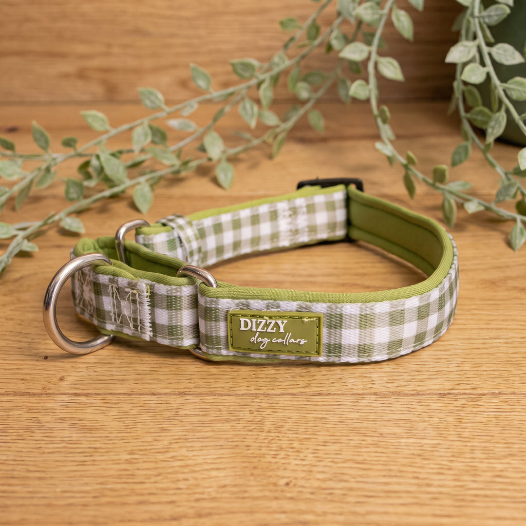 Sage Gingham Martingale Dog Collar