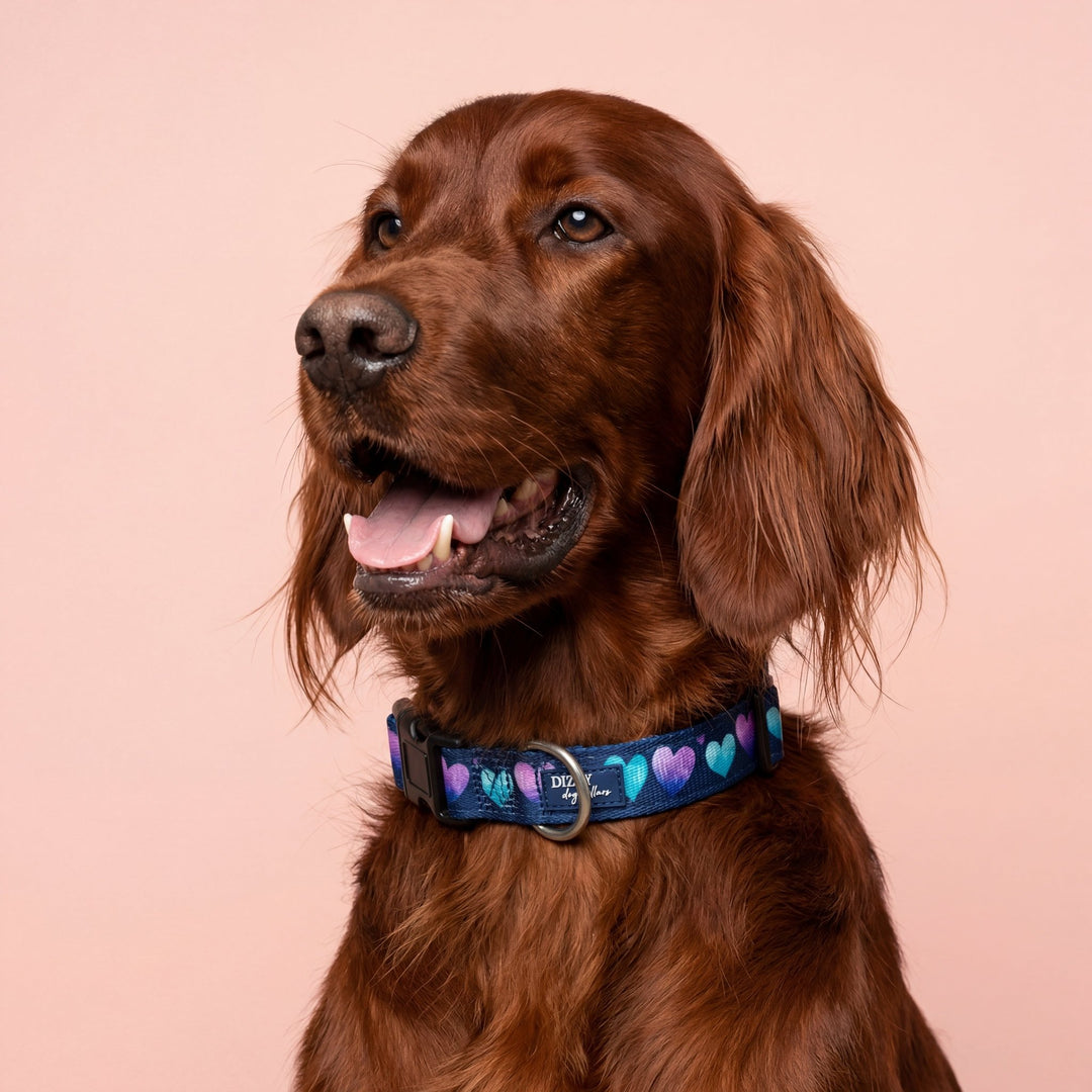 Hearts & Harmony Dog Collar | Neoprene Dog Collar