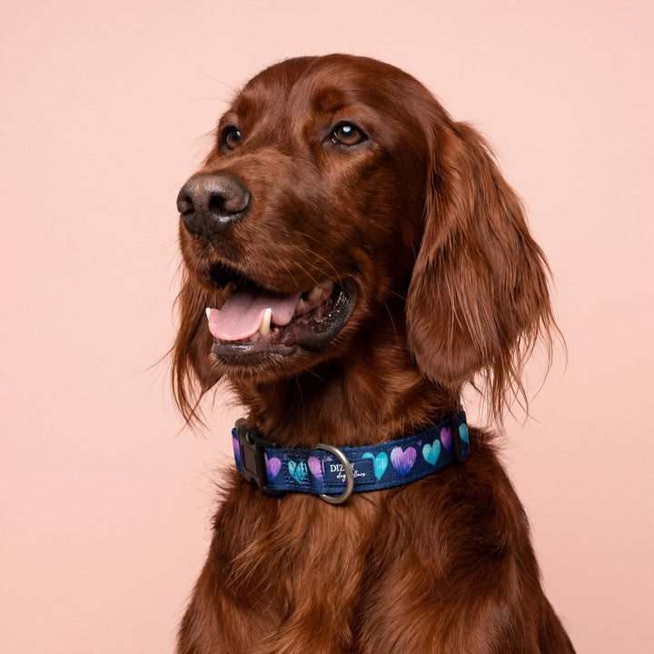 Hearts & Harmony Dog Collar | Neoprene Dog Collar
