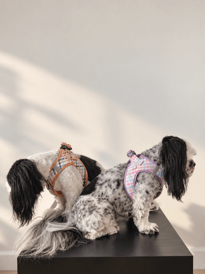 Step In Dog Harness: No Pull | For XS to M Dogs & Cats | Vintage Gingham