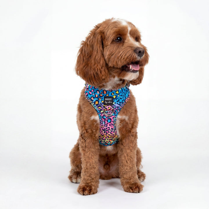 DOG HARNESS | Rainbow Ombre Leopard | Neck Adjustable Harness