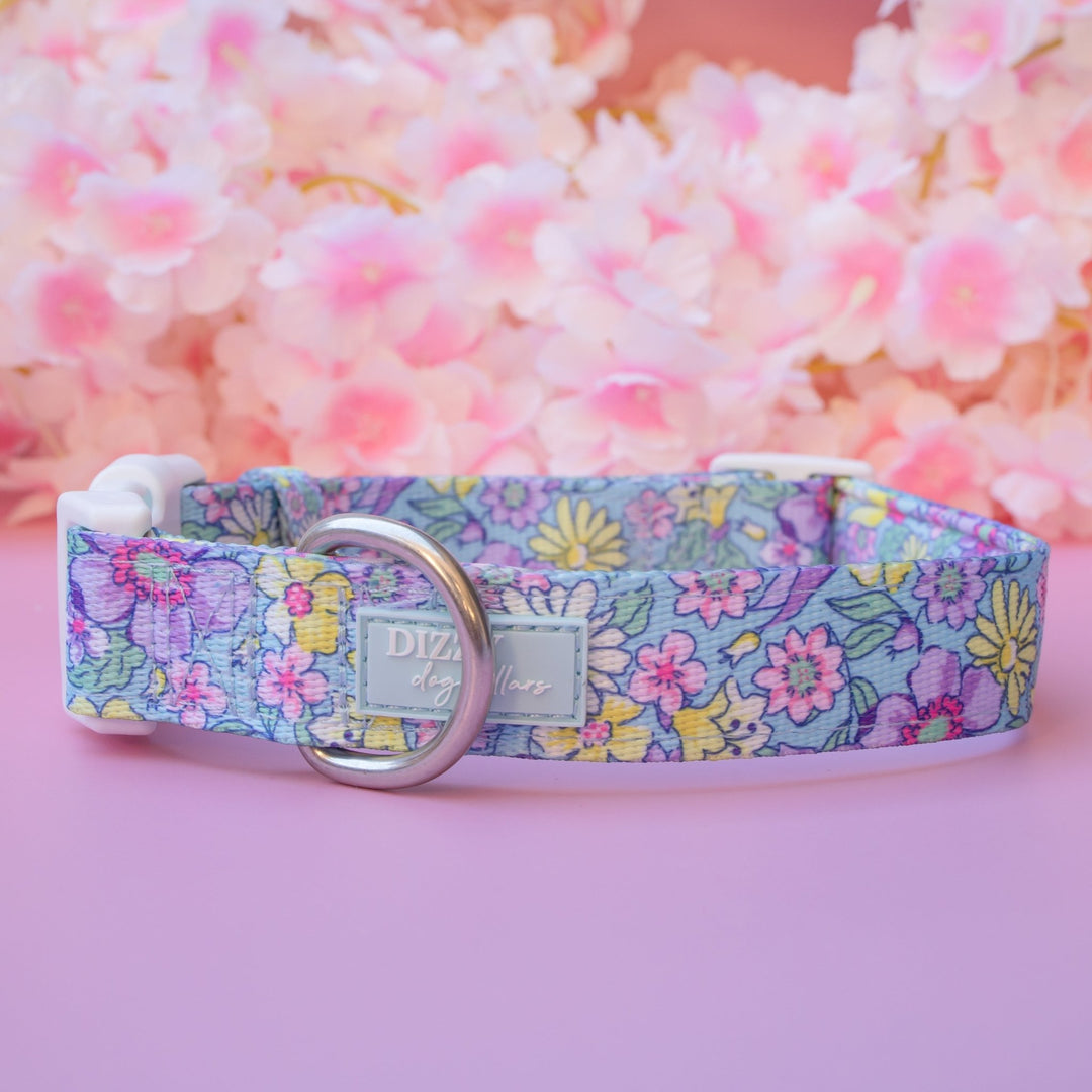 Floral Fable Dog Collar | Neoprene Dog Collar | Stainless Steel