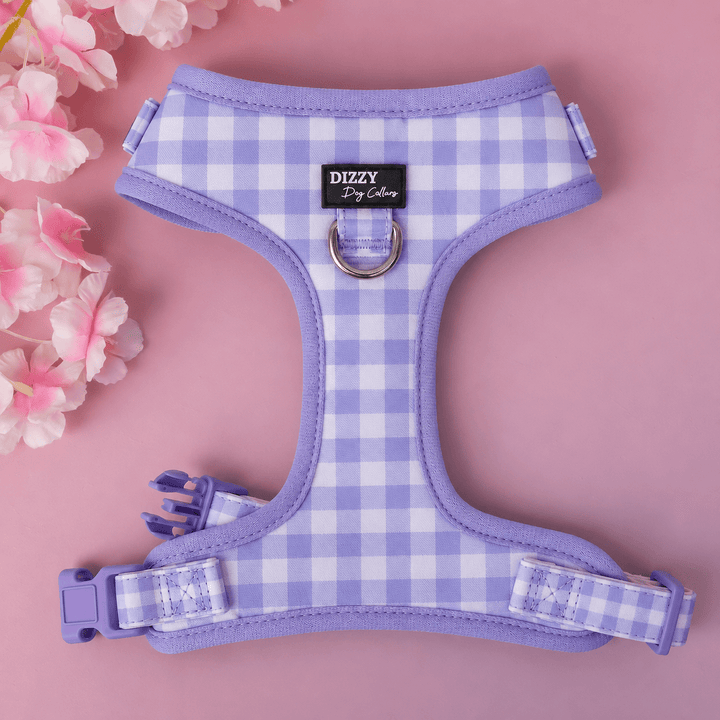 Lavender Gingham Neck Adjustable Dog Harness