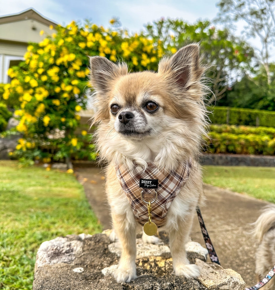 DOG HARNESS | Maplewood: Caramel & Brown Plaid | Neck Adjustable Dog Harness
