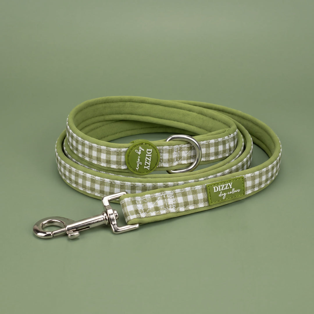 Sage Gingham Dog Leash | Gingham Dog Lead