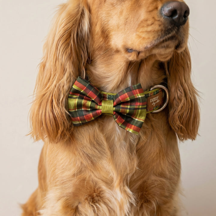 An Olive Christmas  : Bow Tie