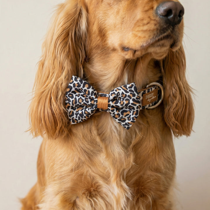Dog wearing a leopard print bow tie with a beige background