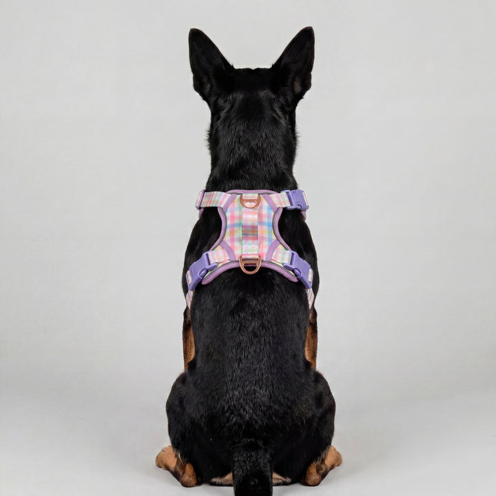 No Pull Dog Harness | Step in | Reflective | Heavy Duty | Easy Reach Handle | Sherbet Gingham