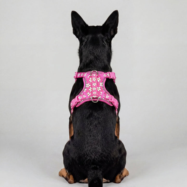 Darling Daisy: No Pull Dog Harness
