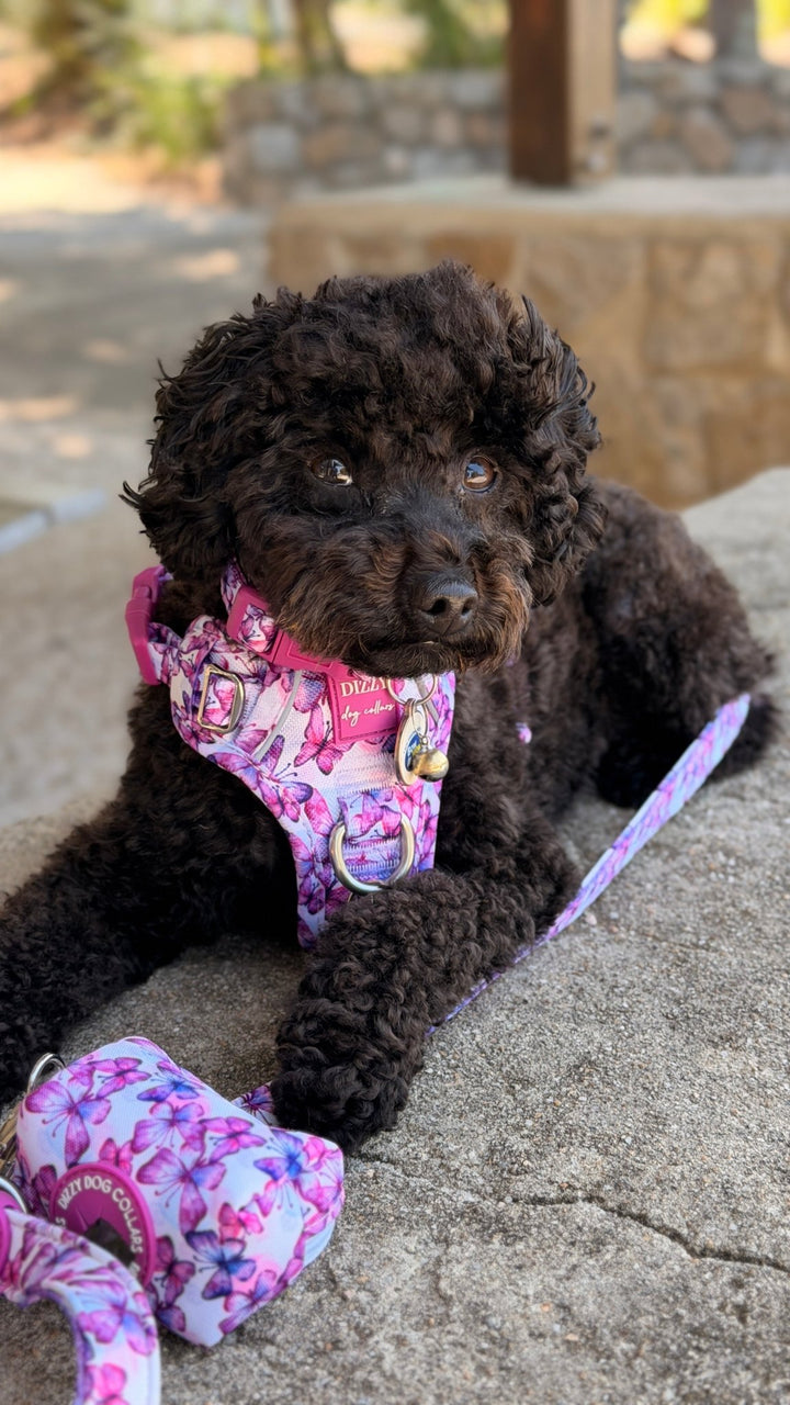 No Pull Dog Harness with Handle | Candy Sky Butterfly