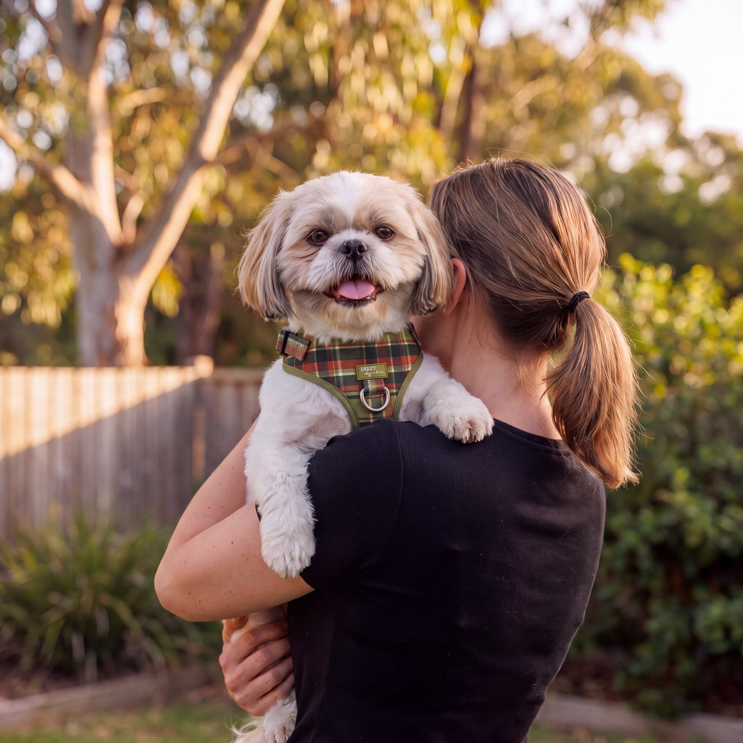 DOG HARNESS | An Olive Christmas  | Neck Adjustable Dog Harness