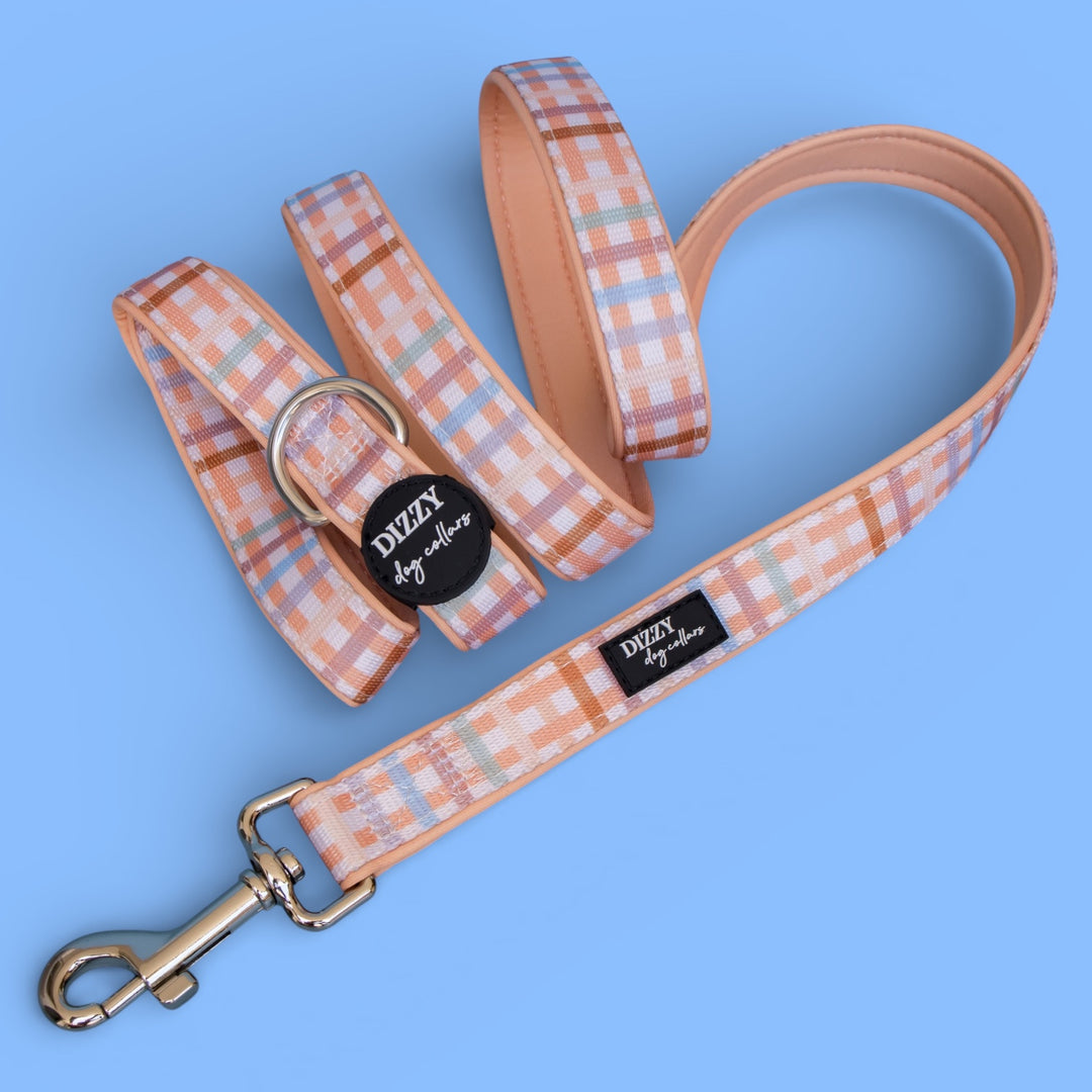 Vintage Gingham Dog Leash | Fully Padded Leash - Dizzy Dog Collars