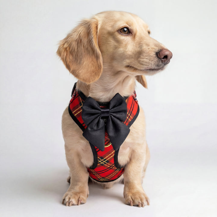 DOG HARNESS | Red and Gold Plaid | Adjustable Harness with Removable Bow Tie