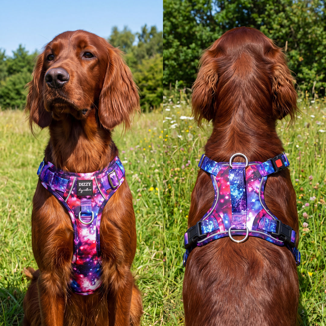 No Pull Dog Harness with Handle | Reflective & Stainless Steel | Galaxy