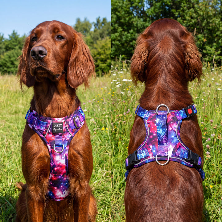 No Pull Dog Harness with Handle | Reflective & Stainless Steel | Galaxy