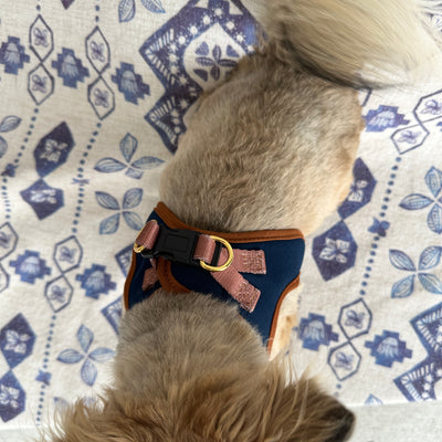 No Pull, Step In Harness | Suitable for XS to Medium Dogs and Cats | The Coco