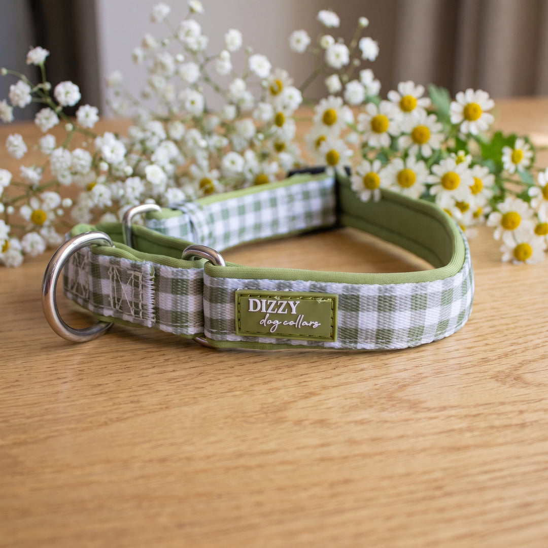 Sage Gingham Martingale Dog Collar