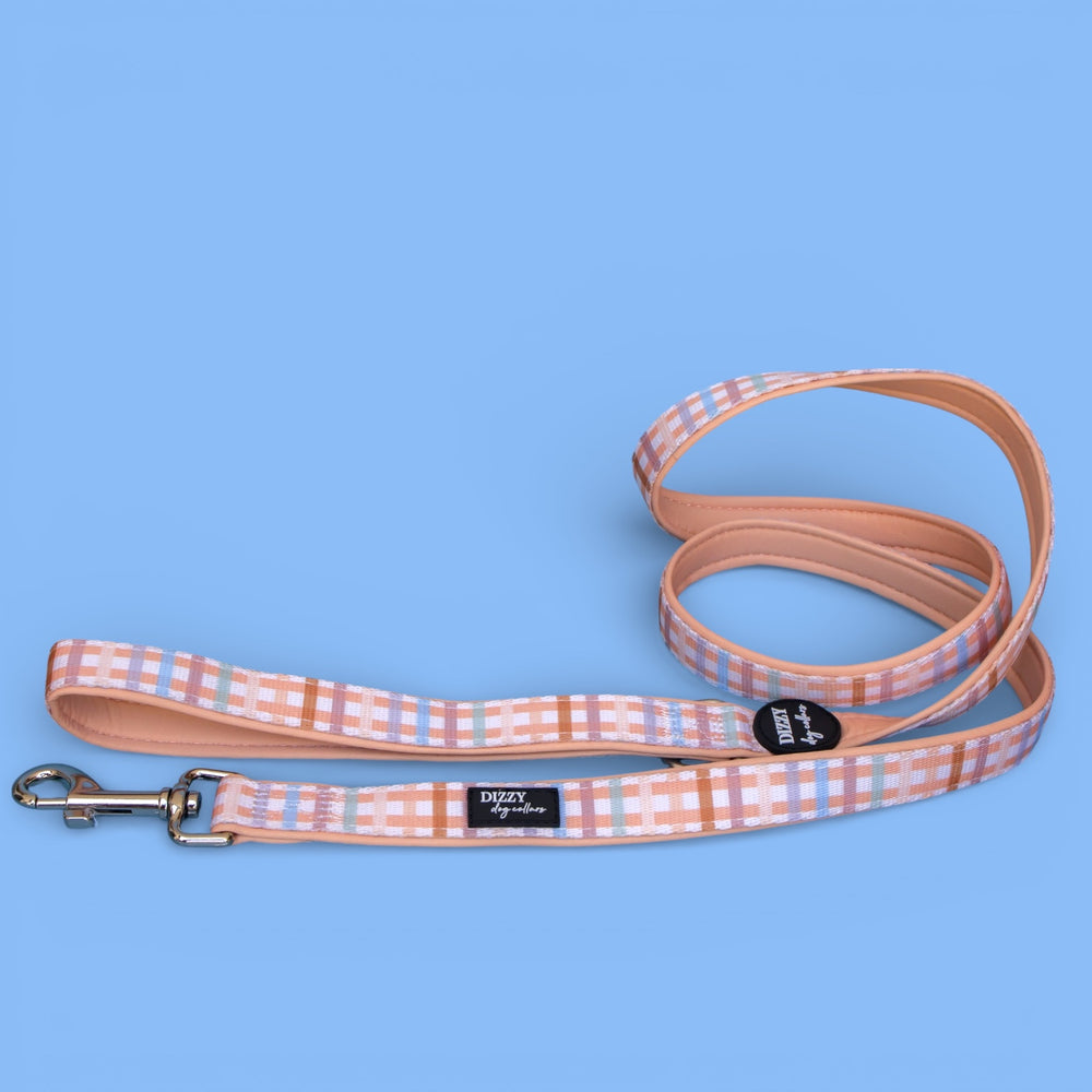 Vintage Gingham Dog Leash | Fully Padded Leash - Dizzy Dog Collars