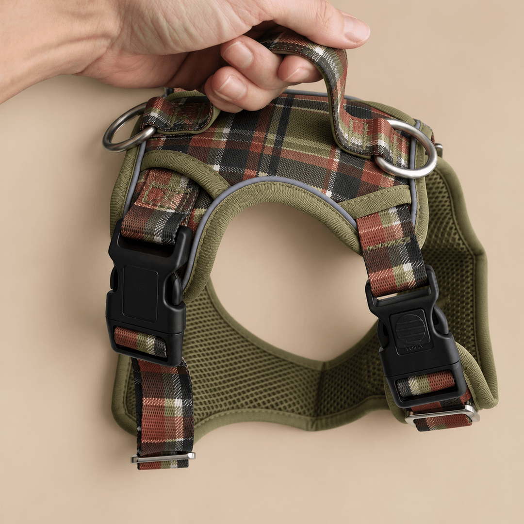 No Pull Dog Harness: An Olive Christmas