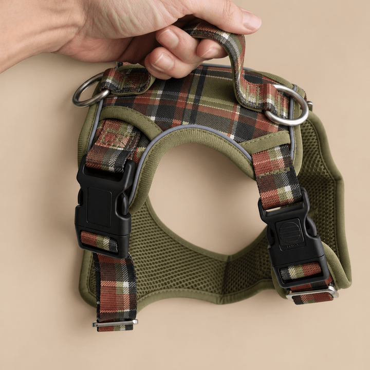 No Pull Dog Harness: An Olive Christmas