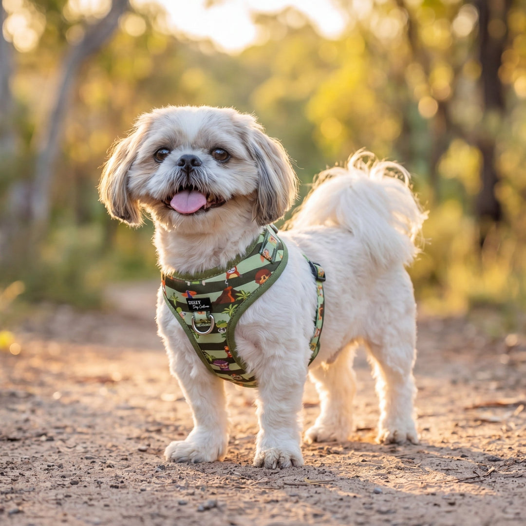 DOG HARNESS |     Mesozoic Mischief | Neck Adjustable Dog Harness